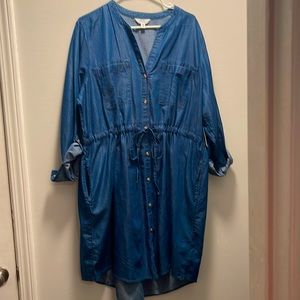 NWT - cute denim dress by Time and Tru. Size 20